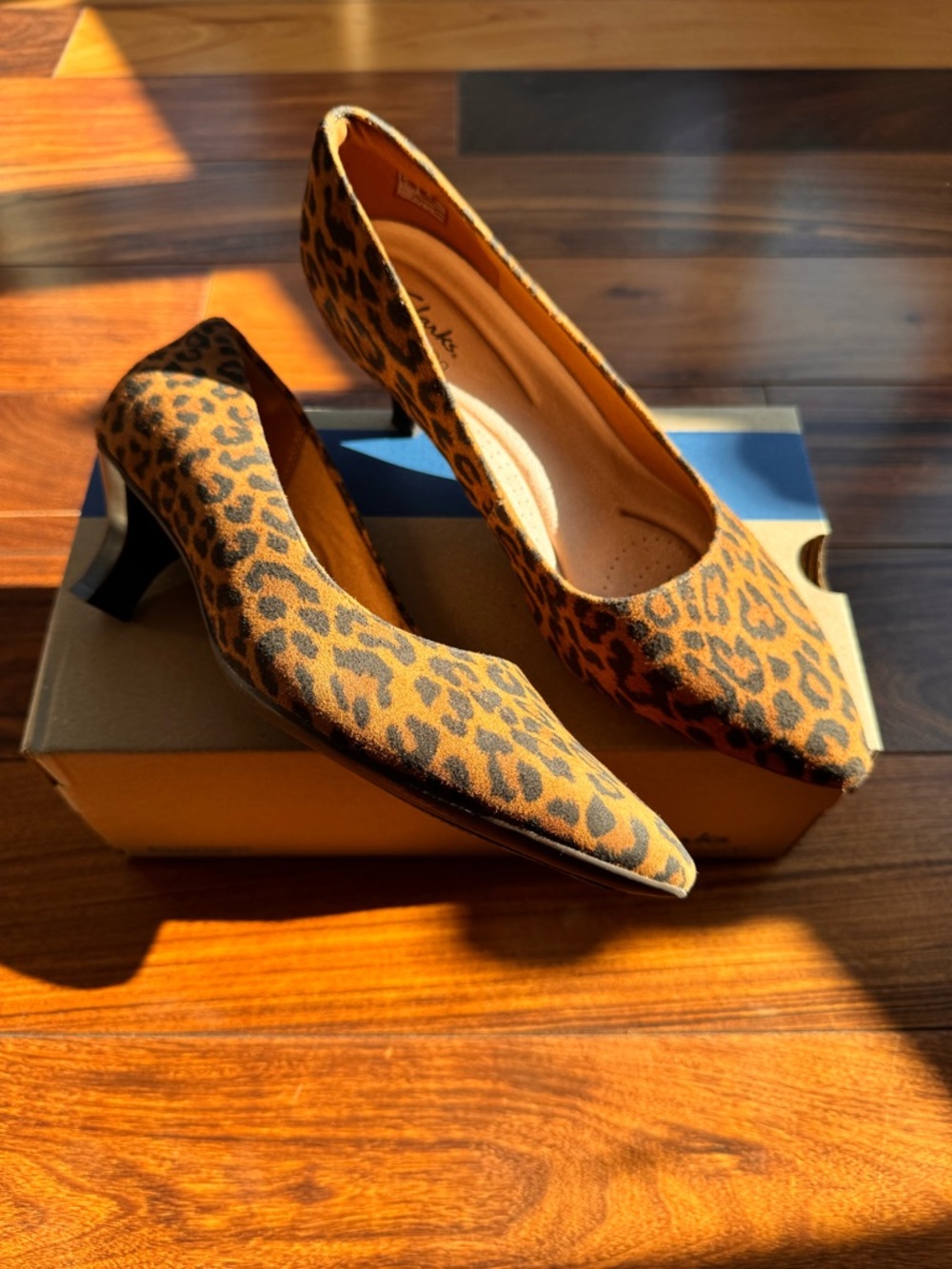 Clarks | Kitten Heel Pumps in Leopard Print